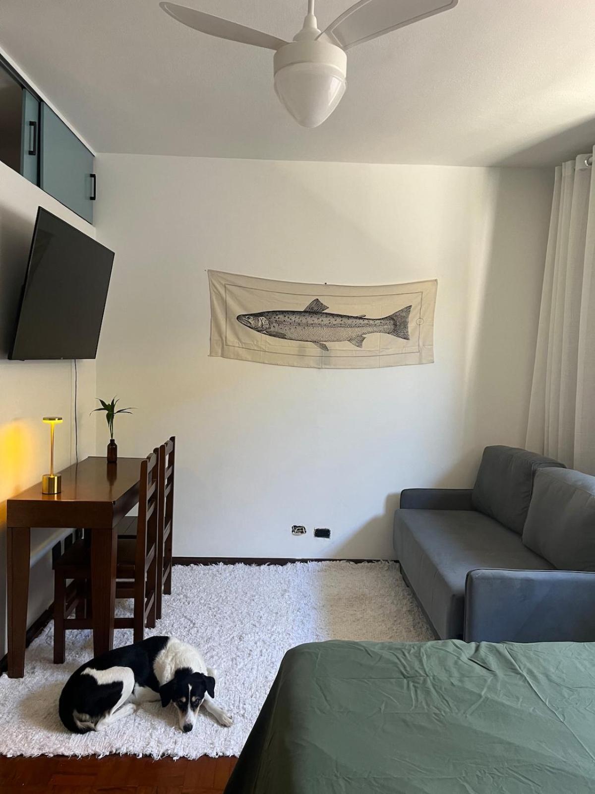 Charming 400 M From The Apartment *